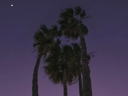 Win The Jackpot | Music To Attract Wealth And Success