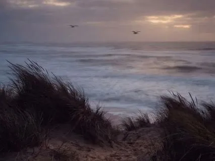 Wind And Waves For Coastal Sleep