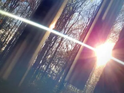 "Wind Chimes" - Acoustic Guitar Meditation