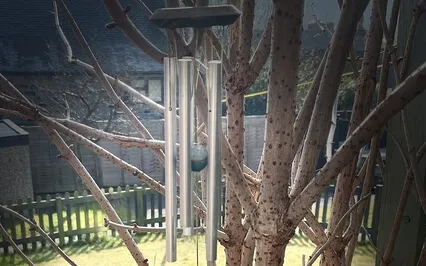 Wind Chimes And Ambience