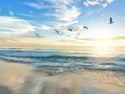 Wind Chimes & Ocean Waves