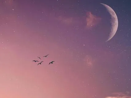 Wind Chimes: Peaceful Sound Bath