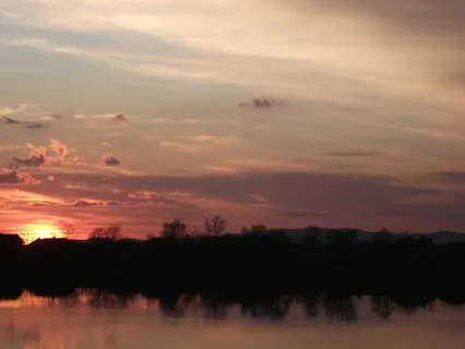 Wind Down To Poetry: Elizabeth Barrett Browning