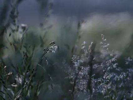 Wind Element - Breathwork And Music For Meditation