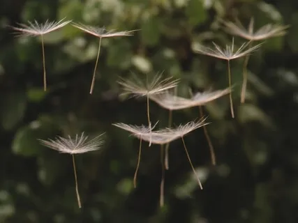 Wind Energy Breath Prayer