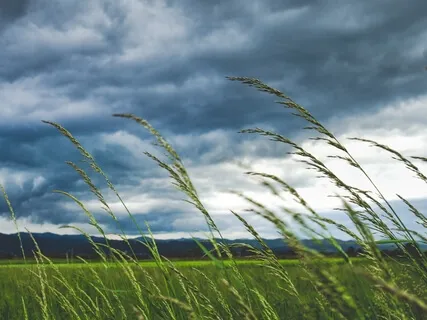 Wind (Extended Version)