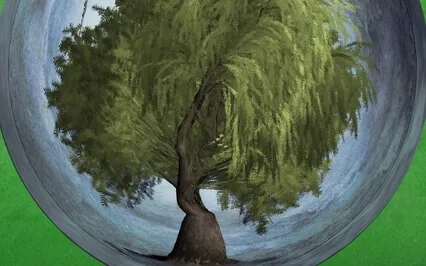 1 Wind In The Willows  - Read By Stephanie Poppins