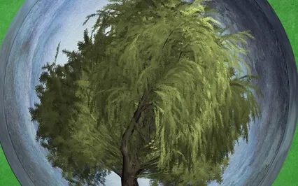 Wind In The Willows 11 Read With A Little S D HUDSON MAGIC