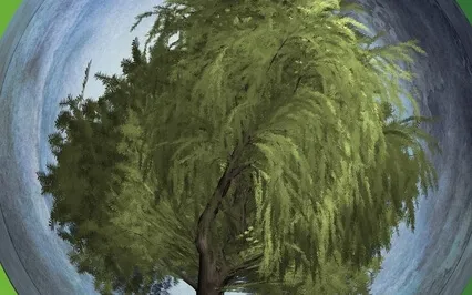 Wind In The Willows 4 Read By English Author S D HUDSON