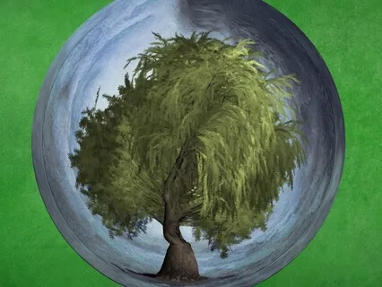 Wind In The Willows 5 With English Author S D Hudson Magic