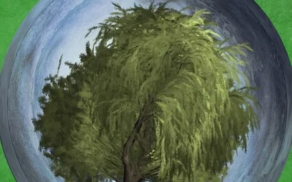 Wind In The Willows 7 Read With A Little S D Hudson Magic