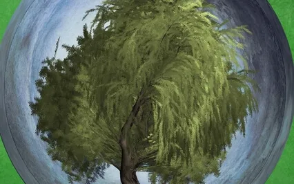 8 Wind In The Willows - Read By Stephanie Poppins