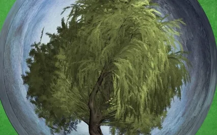 9 Wind In The Willows -Read By Stephanie Poppins