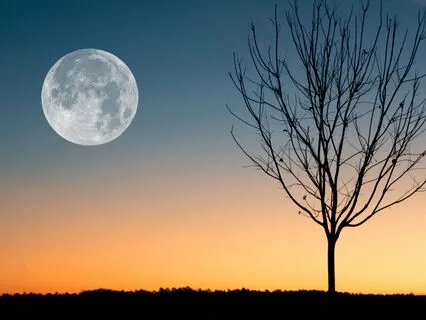 Wind In The Willows Ch 7 - The Piper At The Gates Of Dawn