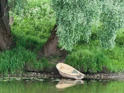 Wind In The Willows Lakeside Picnic Ambiance