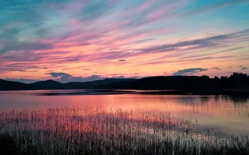 Wind Through The Reeds