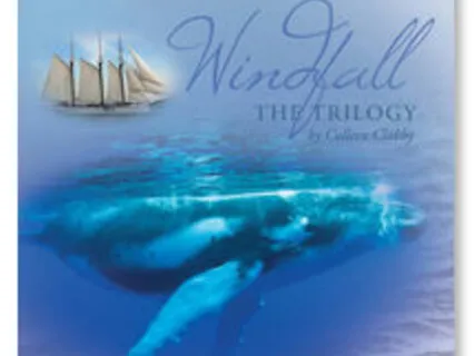 Windfall of Life: The Story - Track 6