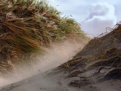 Windgeräusche | Heulender Wind | Windgeräusche zum Entspannen | Natürliches weißes Rauschen