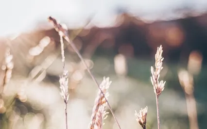 Winding Down Into A Slower State