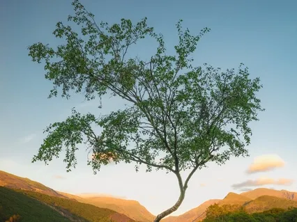 Winding Down (Part 1)