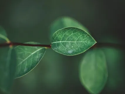 Winding Down With Gentle Movement And Breath