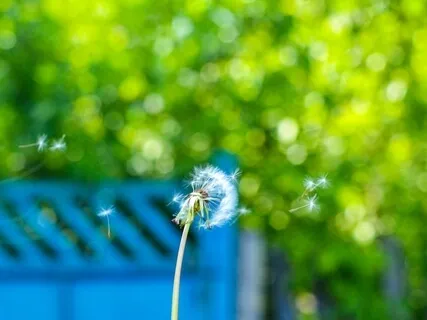 Winds Of Change - Music For Bedtime