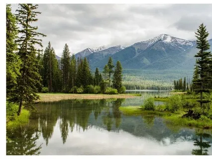 Windy (White Noise) Live Sound Meditation Intuitive Movement