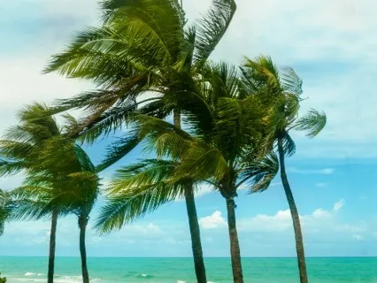 Windy Ocean - Nature Sounds for Relaxation, Studying, & Deep Sleep