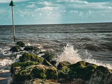 Windy Waves - Ocean Sounds For Relaxation, Sleep & Focus