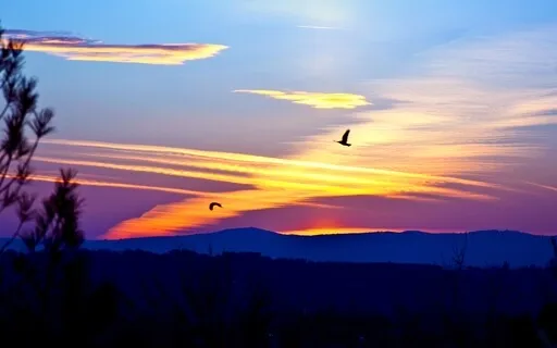 Wings Of Love (Violin And Piano Fantasy)