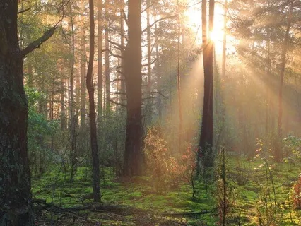 Winning & Influencing Mindfully