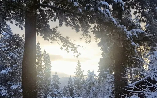 Winter Attunement Singing Bowls