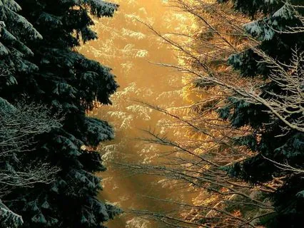 Winter Breathwork For Renewal & Rejuvenation