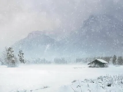 Winter Calls Out Love