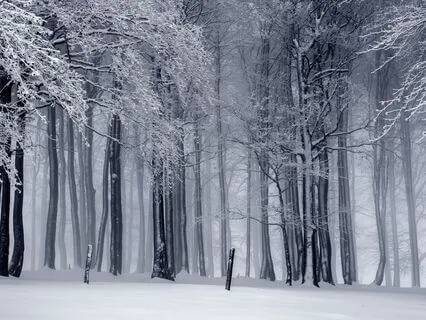 Winter Calm: Deep Sleep & Relaxation Music (17 Minutes)