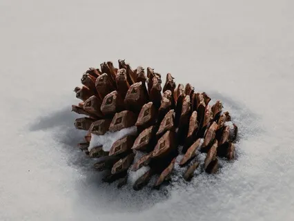 Winter Chills | Relaxation | Sleep Meditation Piano 432 Hz