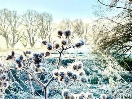 Winter Countryside At Dusk Cozy Ambiance
