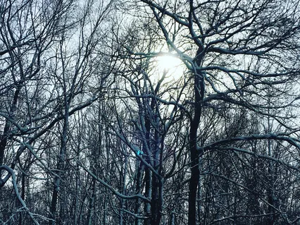 Winter: Cultivating Beauty