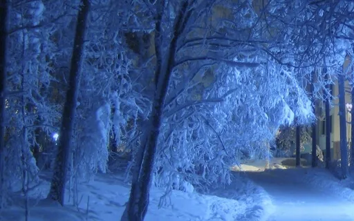 Winter Dreams On Lake Michigan