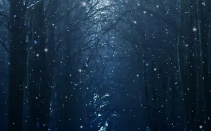 Winter Dreams ~ Guided Sleep Meditation