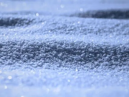 Winter: Early Hour Snowfall