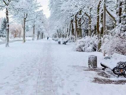 Winter Escape Ambiance Skating Snow Walk Sounds