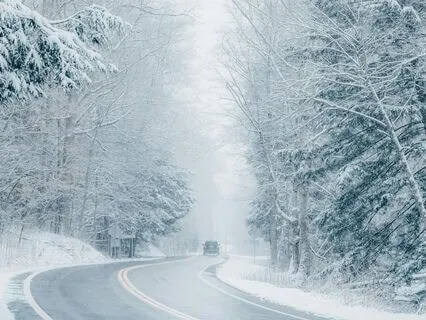 Winter Forest Afternoon Soothing Breeze & Birds