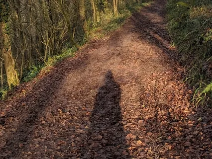 Winter Natural Mindfulness Breathing Space
