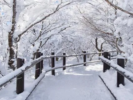 Winter Glow Meditation: A Gentle Body Scan For Inner Peace