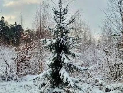 Winter Grounding For Coping With Sadness And Overwhelm