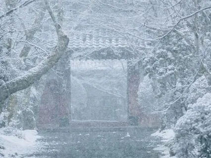 Winter Hush: Brown Noise And Falling Snow