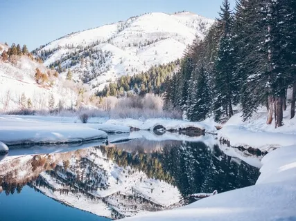 Winter Journey: Meeting Your Animal Spirit Guide