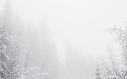 Winter Journey - Yoga Nidra And Light Breathwork