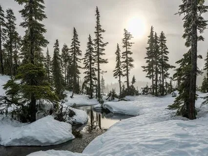 Winter Meditation | Embrace Deep Rest